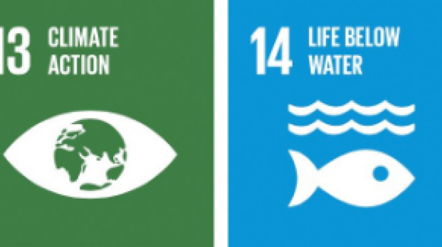 UN SDG logos
