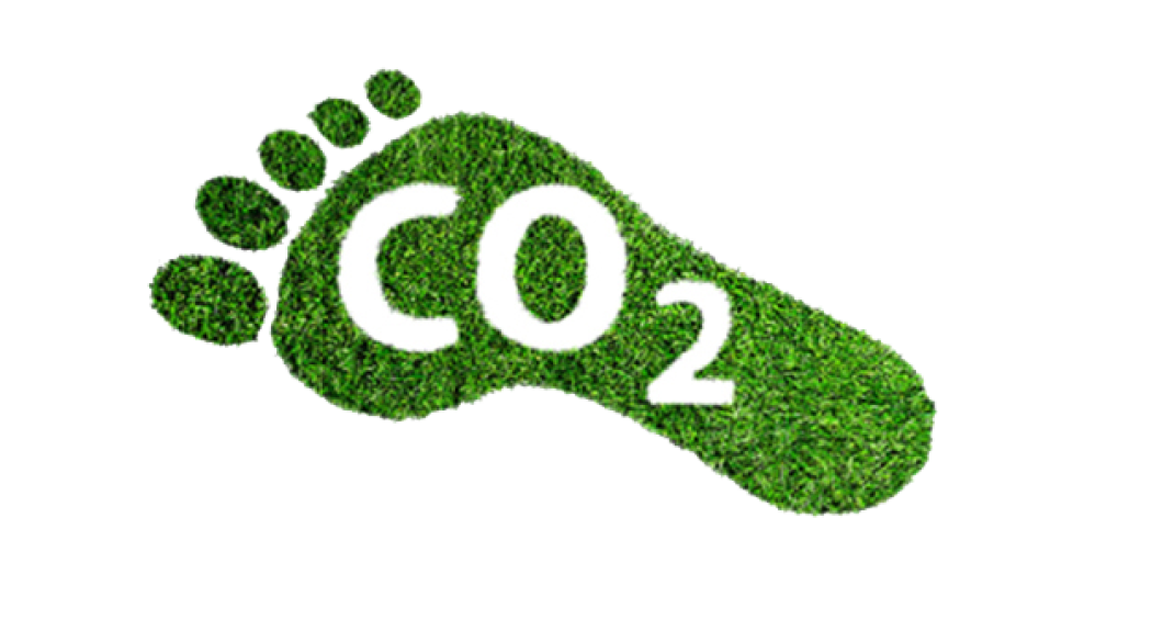Co2 Footprint that is made of grass